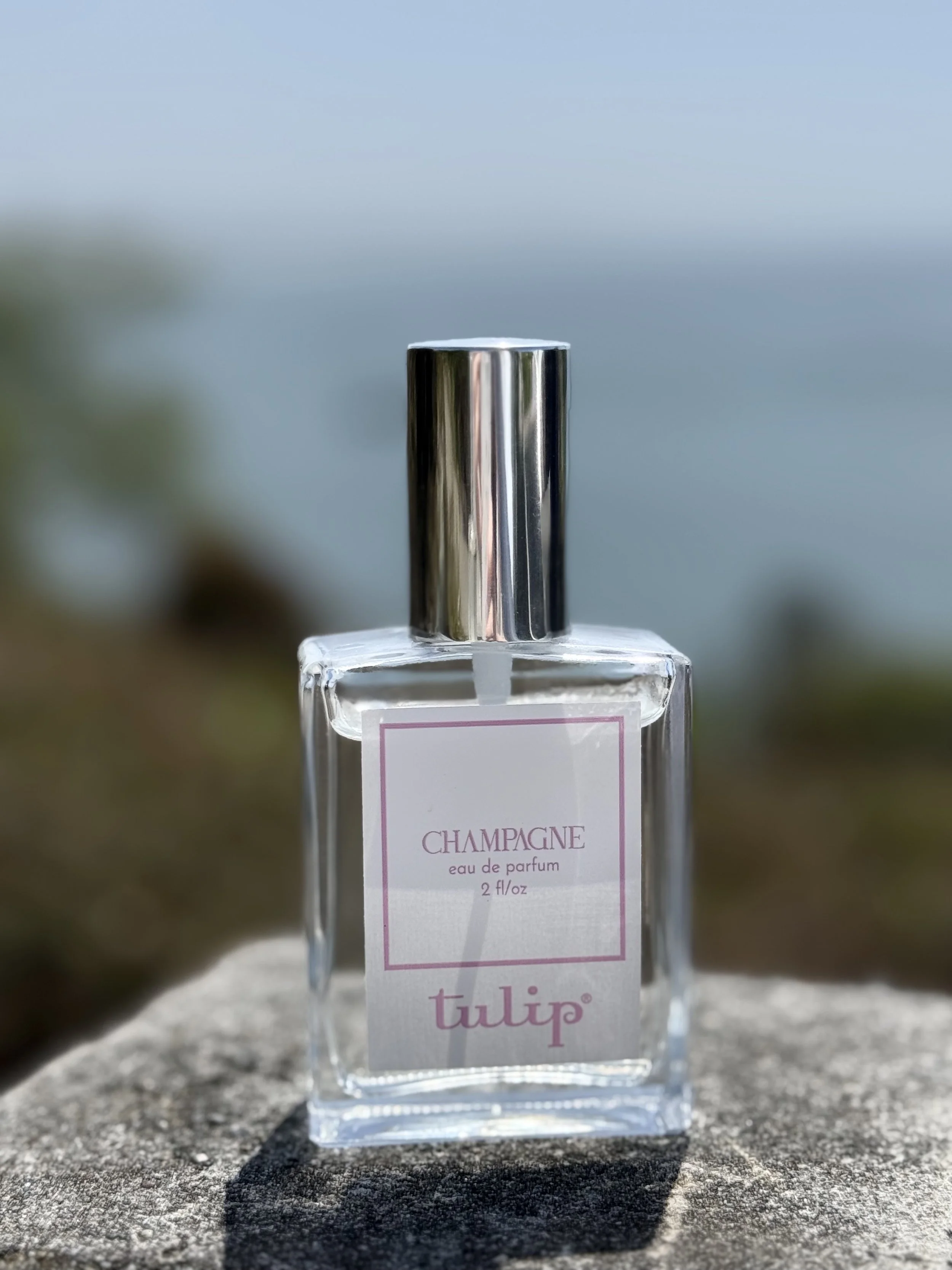 Champagne – Elegant Vegan Perfume with Violet, Apple & Suede